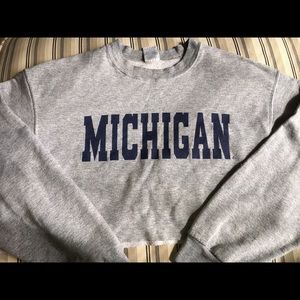 Vintage University of Michigan Cropped Sweatshirt